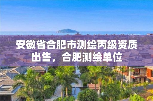 安徽省合肥市测绘丙级资质出售，合肥测绘单位