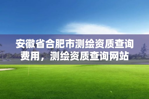 安徽省合肥市测绘资质查询费用，测绘资质查询网站