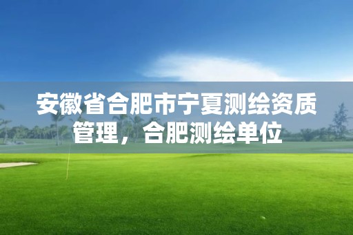 安徽省合肥市宁夏测绘资质管理，合肥测绘单位