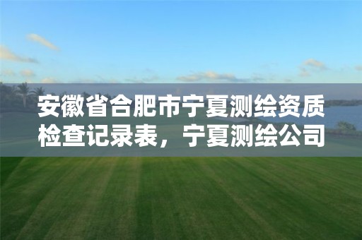 安徽省合肥市宁夏测绘资质检查记录表，宁夏测绘公司