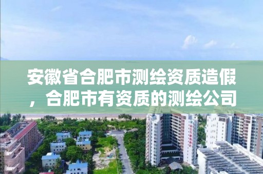 安徽省合肥市测绘资质造假，合肥市有资质的测绘公司