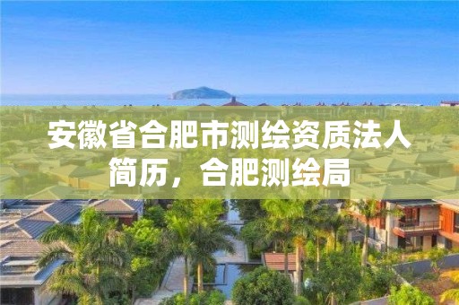 安徽省合肥市测绘资质法人简历，合肥测绘局