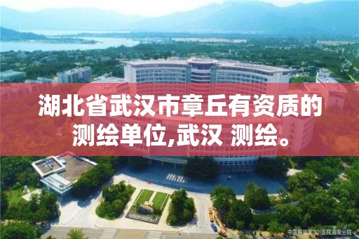 湖北省武汉市章丘有资质的测绘单位,武汉 测绘。