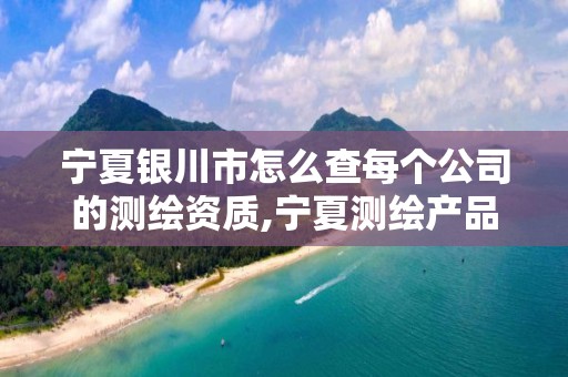 宁夏银川市怎么查每个公司的测绘资质,宁夏测绘产品质量监督检验站。