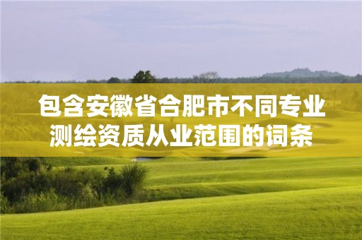 包含安徽省合肥市不同专业测绘资质从业范围的词条