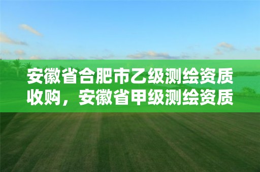 安徽省合肥市乙级测绘资质收购，安徽省甲级测绘资质单位