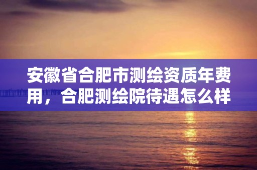 安徽省合肥市测绘资质年费用，合肥测绘院待遇怎么样