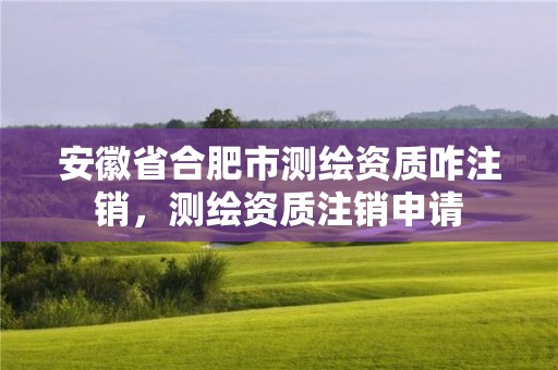 安徽省合肥市测绘资质咋注销，测绘资质注销申请