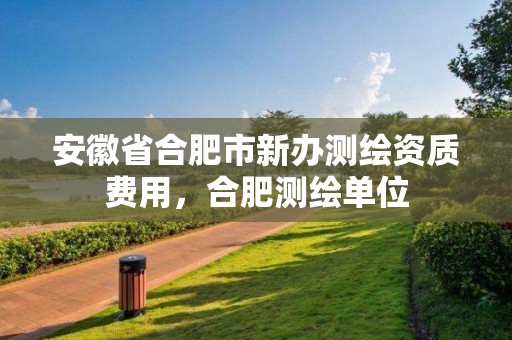 安徽省合肥市新办测绘资质费用，合肥测绘单位