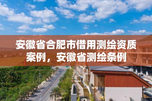 安徽省合肥市借用测绘资质案例，安徽省测绘条例