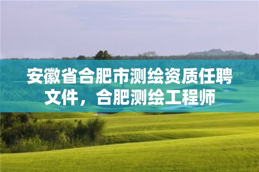 安徽省合肥市测绘资质任聘文件，合肥测绘工程师