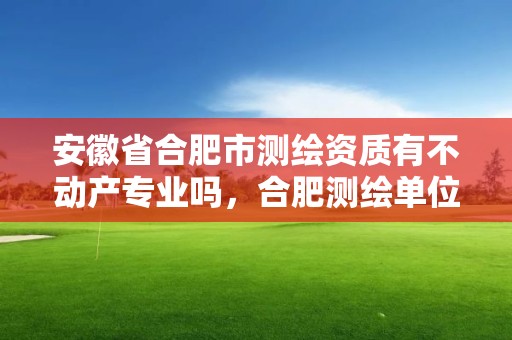 安徽省合肥市测绘资质有不动产专业吗，合肥测绘单位