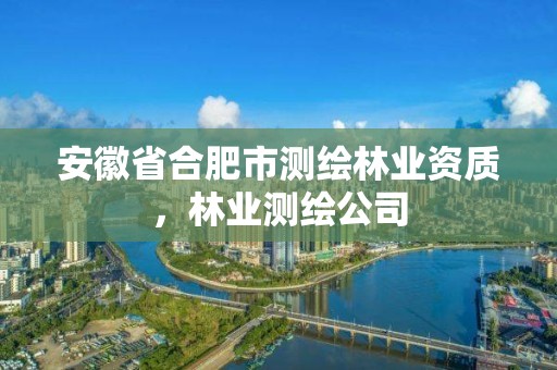 安徽省合肥市测绘，林业测绘公司