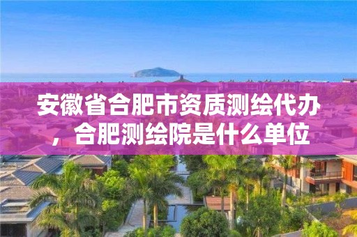 安徽省合肥市资质测绘代办，合肥测绘院是什么单位