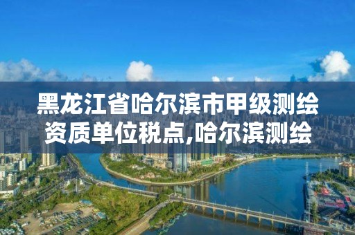 黑龙江省哈尔滨市甲级测绘资质单位税点,哈尔滨测绘局工资怎么样。