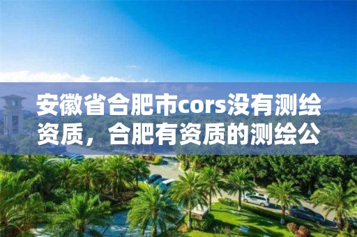 安徽省合肥市cors没有测绘资质，合肥有资质的测绘公司