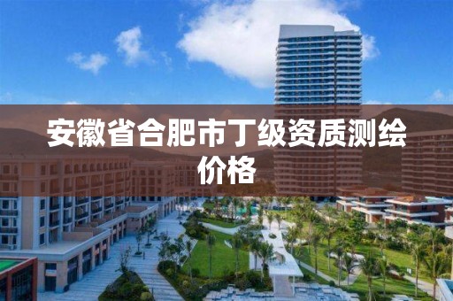 安徽省合肥市丁级资质测绘价格