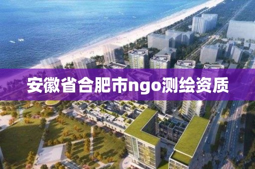 安徽省合肥市ngo测绘资质