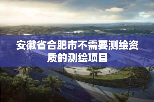 安徽省合肥市不需要测绘资质的测绘项目