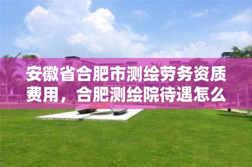 安徽省合肥市测绘劳务资质费用，合肥测绘院待遇怎么样