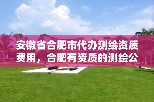 安徽省合肥市代办测绘资质费用，合肥有资质的测绘公司