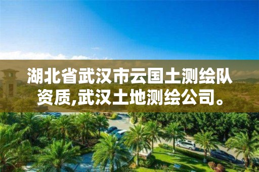 湖北省武汉市云国土测绘队资质,武汉土地测绘公司。