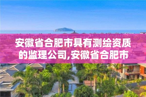 安徽省合肥市具有测绘资质的监理公司,安徽省合肥市具有测绘资质的监理公司名单。