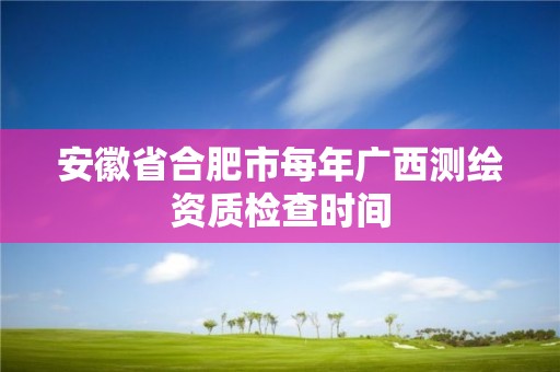 安徽省合肥市每年广西测绘资质检查时间