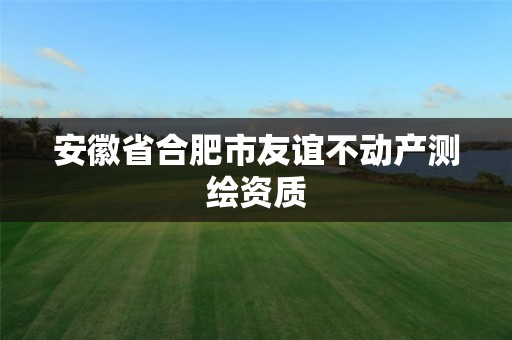 安徽省合肥市友谊不动产测绘资质