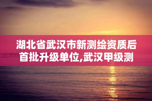 湖北省武汉市新测绘资质后首批升级单位,武汉甲级测绘资质名录。