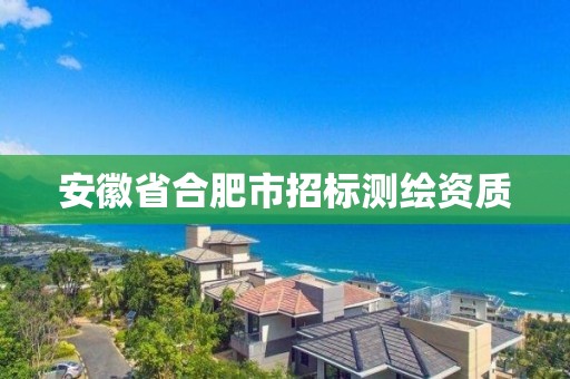 安徽省合肥市招标测绘资质