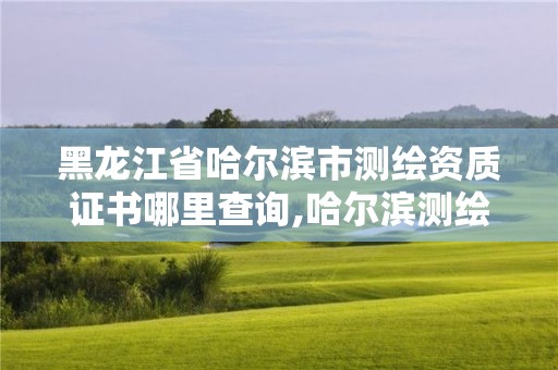 黑龙江省哈尔滨市测绘资质证书哪里查询,哈尔滨测绘局怎么样。