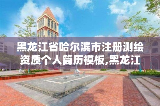 黑龙江省哈尔滨市注册测绘资质个人简历模板,黑龙江测绘公司乙级资质。