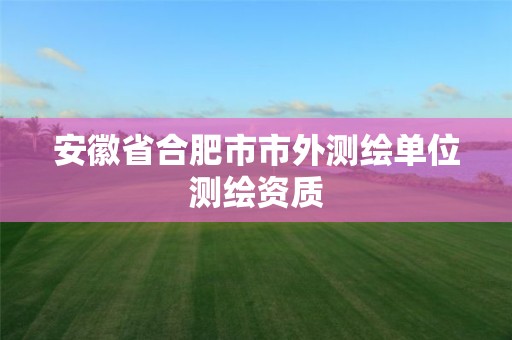 安徽省合肥市市外测绘单位测绘资质