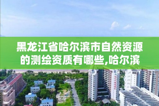 黑龙江省哈尔滨市自然资源的测绘资质有哪些,哈尔滨测绘局属于什么单位。