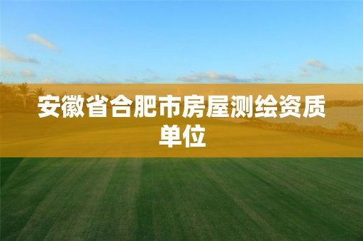 安徽省合肥市房屋测绘资质单位