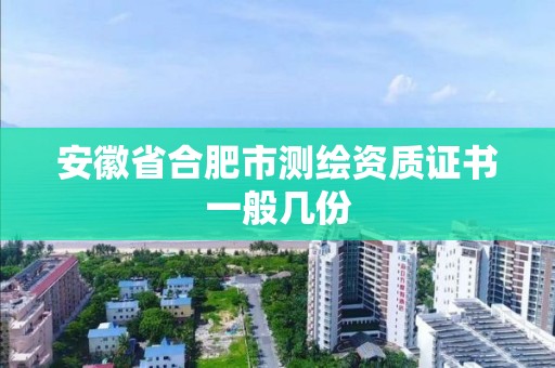 安徽省合肥市测绘资质证书一般几份