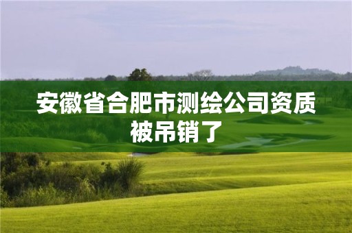 安徽省合肥市测绘公司资质被吊销了