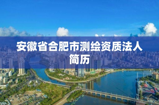 安徽省合肥市测绘资质法人简历