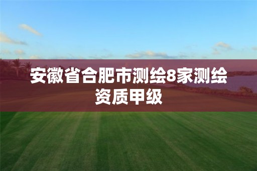 安徽省合肥市测绘8家测绘资质甲级