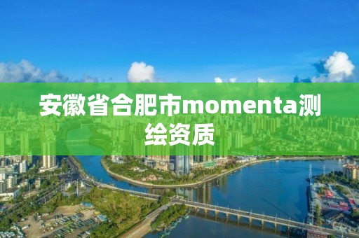 安徽省合肥市momenta测绘资质