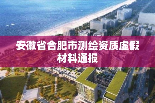 安徽省合肥市测绘资质虚假材料通报