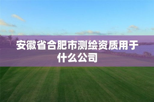 安徽省合肥市测绘资质用于什么公司