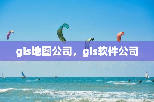 gis地图公司，gis软件公司