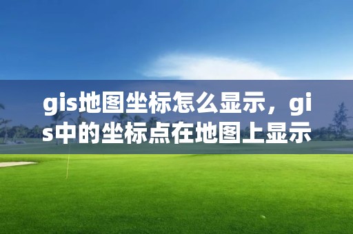 gis地图坐标怎么显示，gis中的坐标点在地图上显示