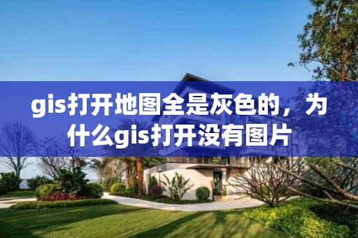 gis打开地图全是灰色的，为什么gis打开没有图片