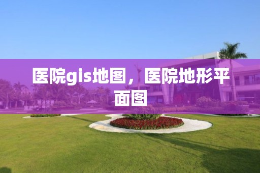 医院gis地图，医院地形平面图