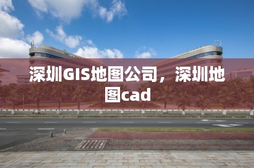 深圳GIS地图公司，深圳地图cad