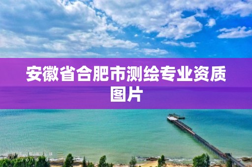 安徽省合肥市测绘专业资质图片