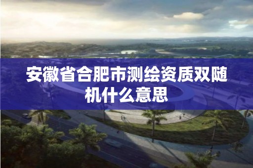 安徽省合肥市测绘资质双随机什么意思